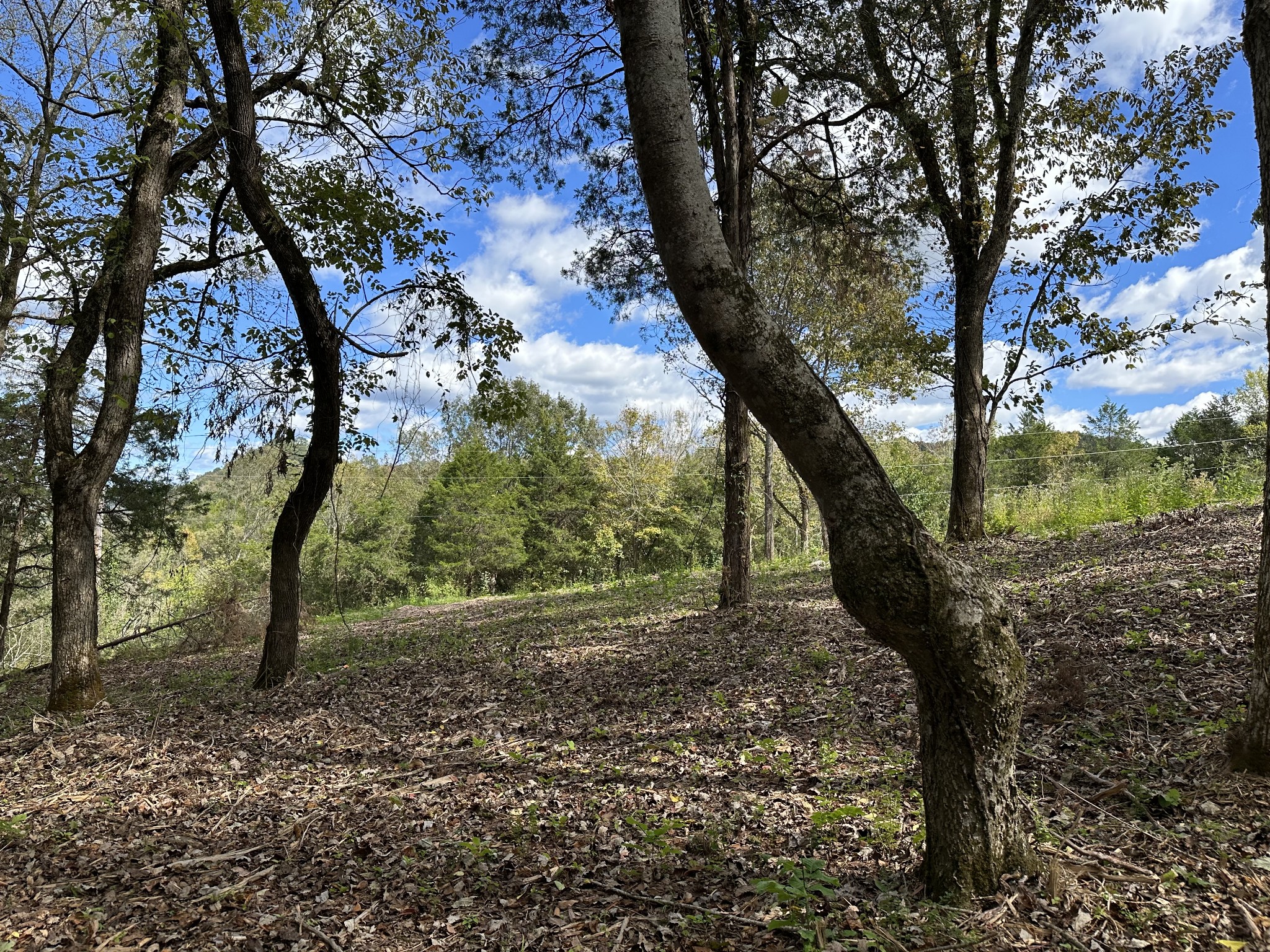 0 Hopkins Hollow Road Gainesboro, TN 38562 - Photo 13 of 26 a view of outdoor space