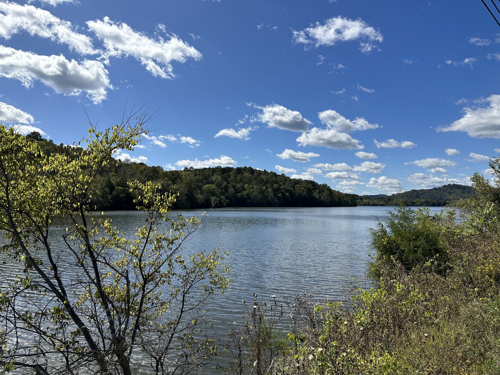 0 Hopkins Hollow Road Gainesboro, TN 38562 - Photo 15 of 26 a view of a lake in middle of forest