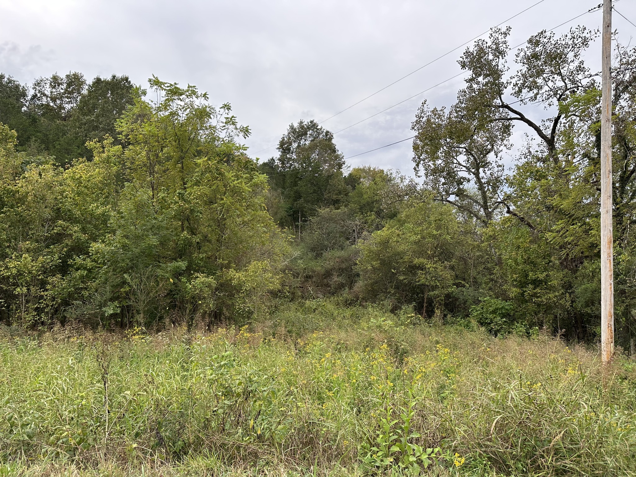 0 Hopkins Hollow Road Gainesboro, TN 38562 - Photo 2 of 26 a view of outdoor space and green field