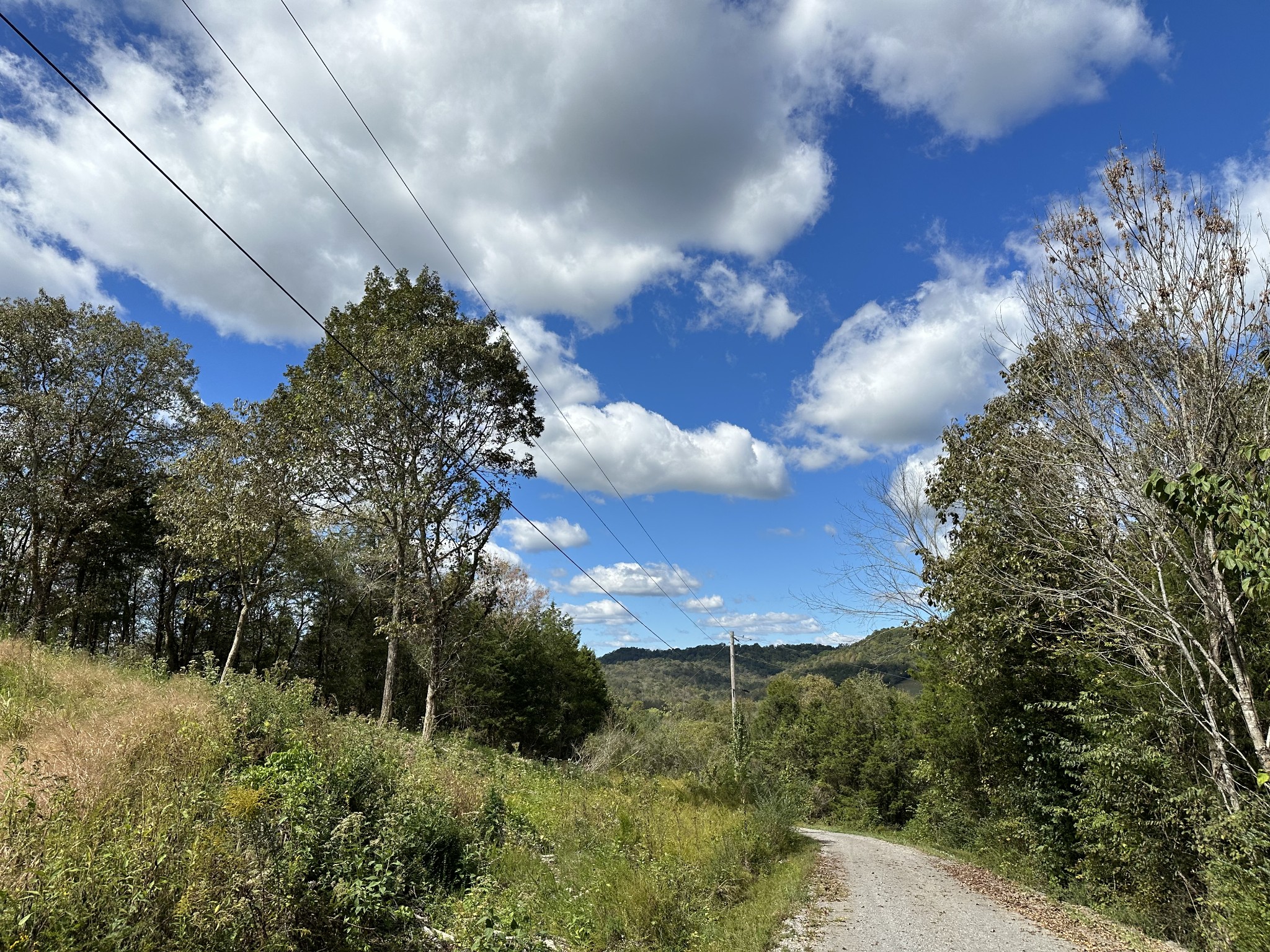 0 Hopkins Hollow Road Gainesboro, TN 38562 - Photo 5 of 26 a view of a yard