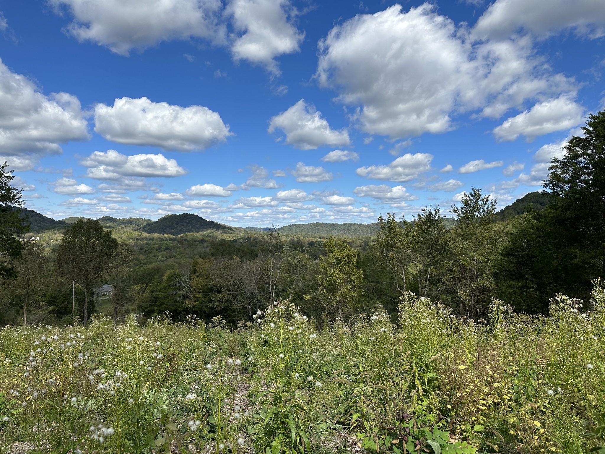 0 Hopkins Hollow Road Gainesboro, TN 38562 - Photo 7 of 26 a view of a city with lush green forest