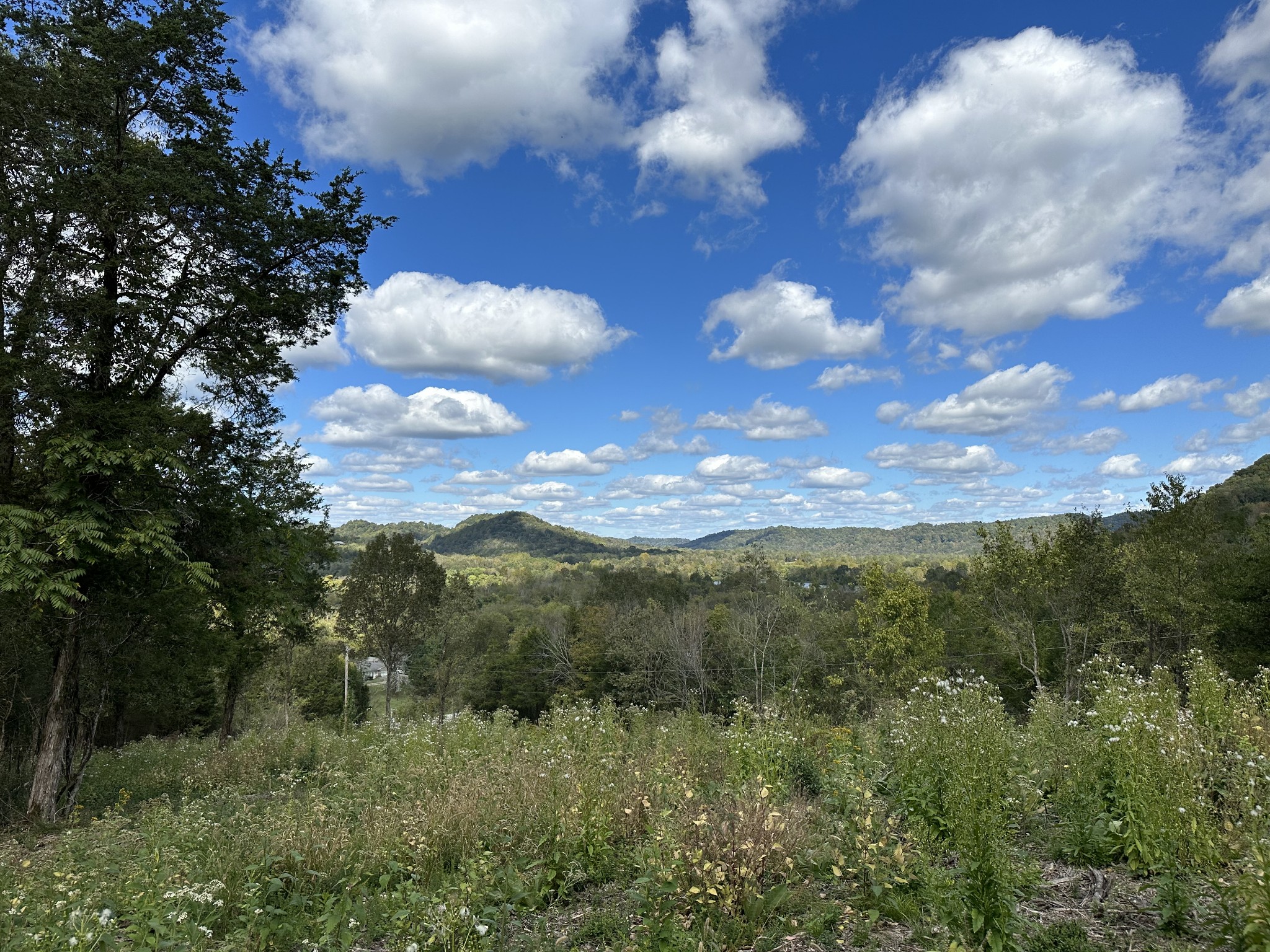 0 Hopkins Hollow Road Gainesboro, TN 38562 - Photo 9 of 26 a view of a city