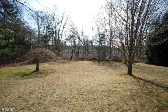 a view of backyard space