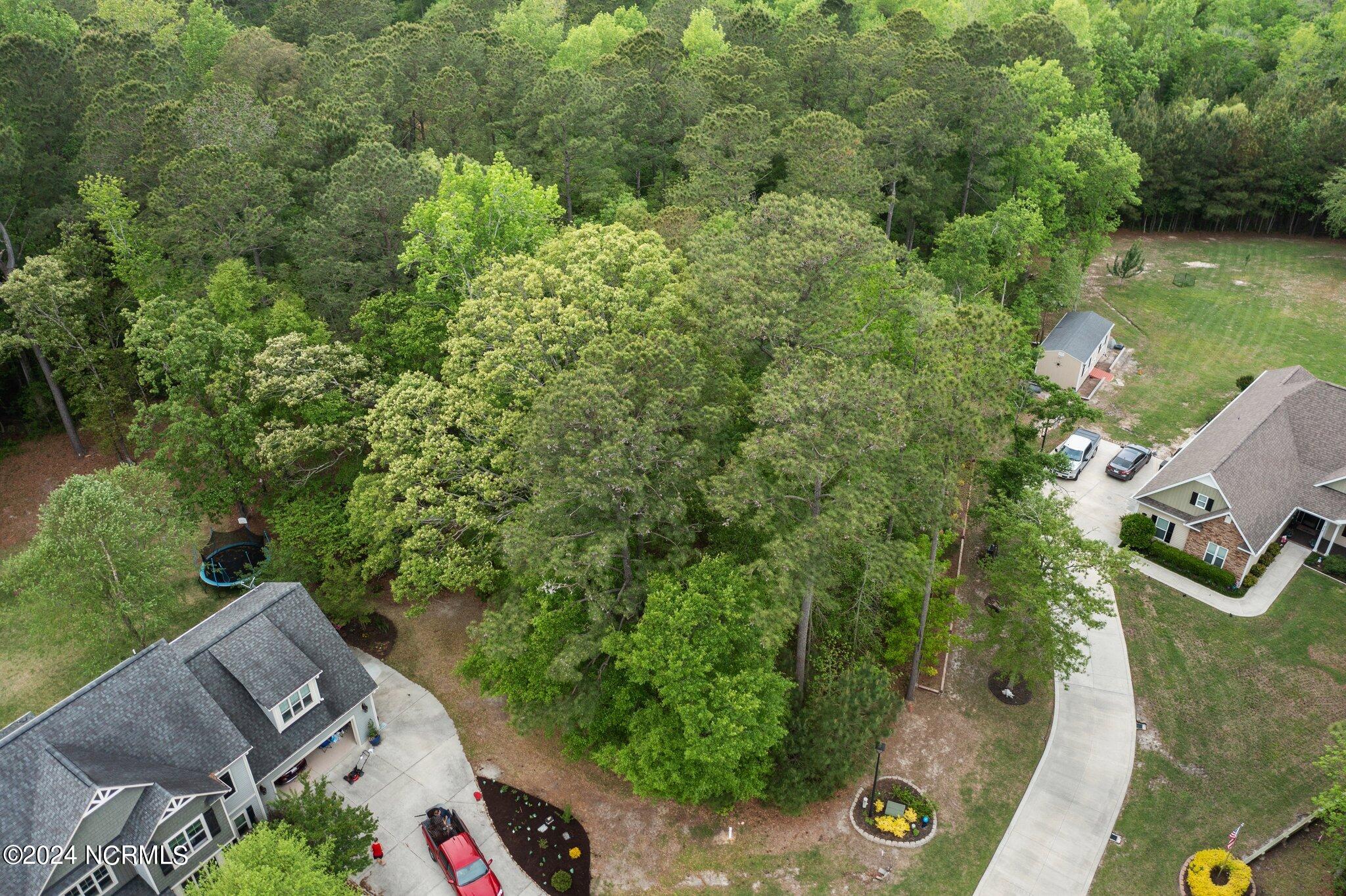 307 Joans Ridge Stella, NC 28582 - Photo 3 of 12 307 9