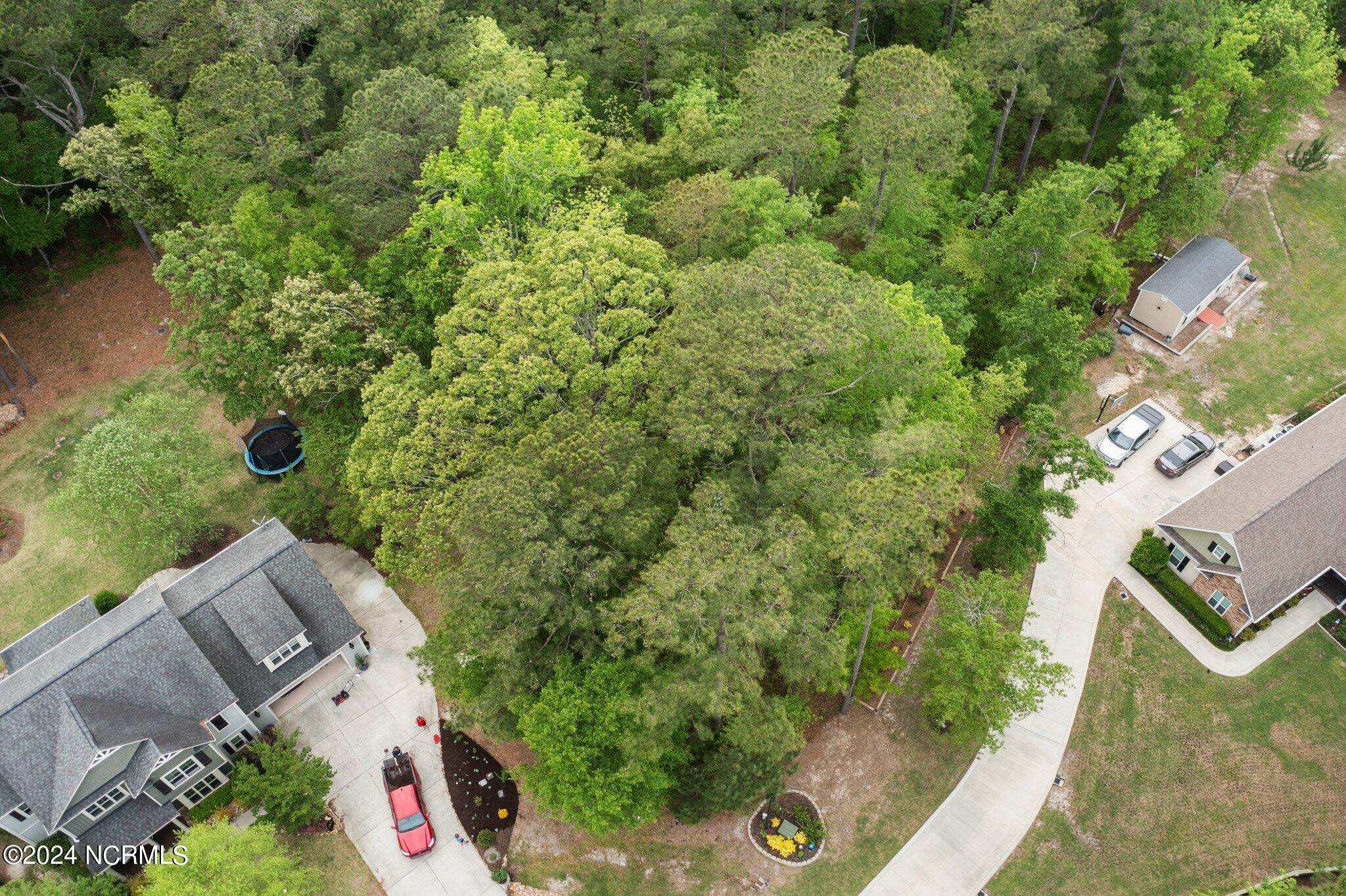 307 Joans Ridge Stella, NC 28582 - Photo 5 of 12 307 3