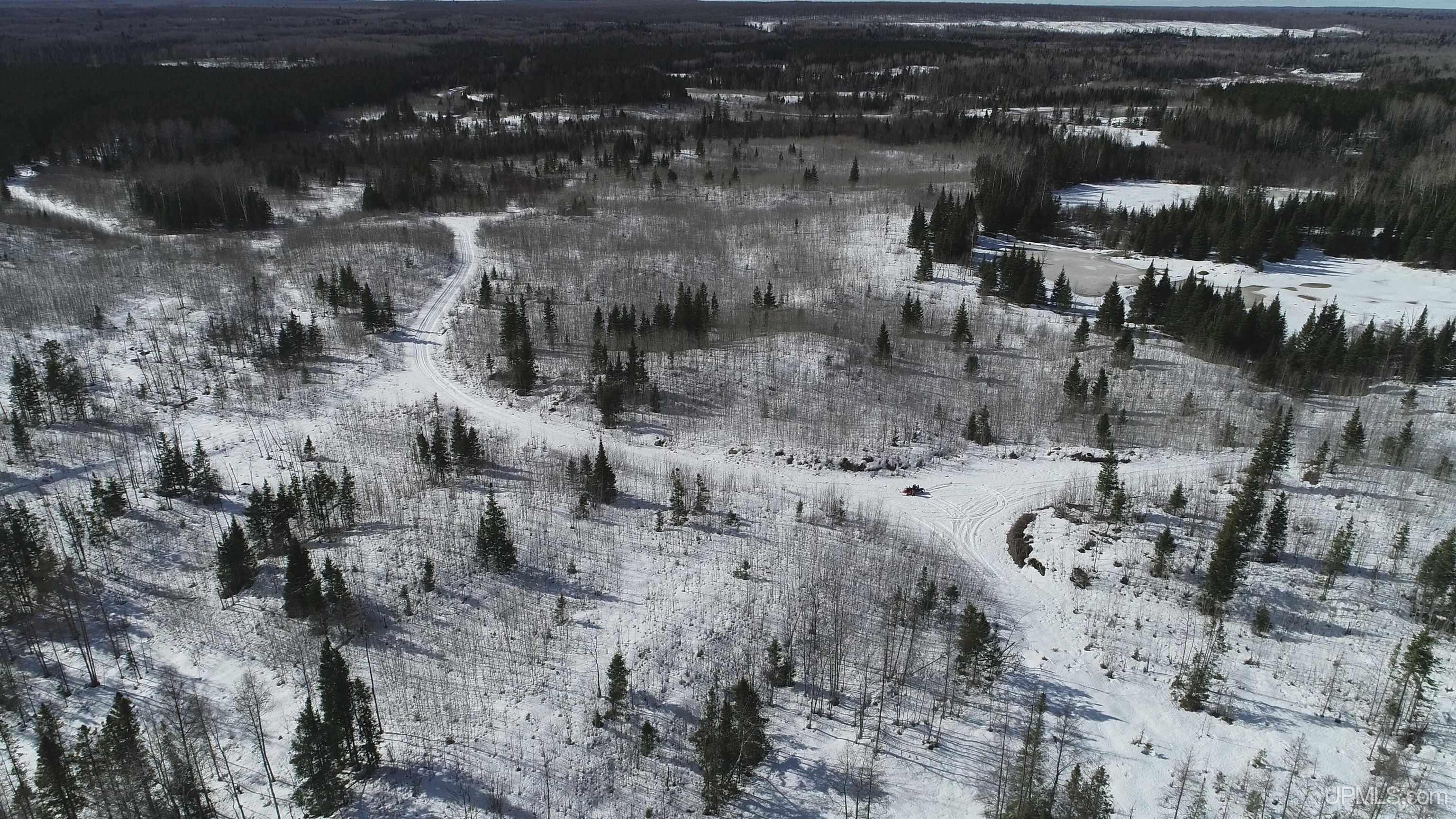 80-acres 80-acres 18th Road Republic, MI 49879 - Photo 18 of 25