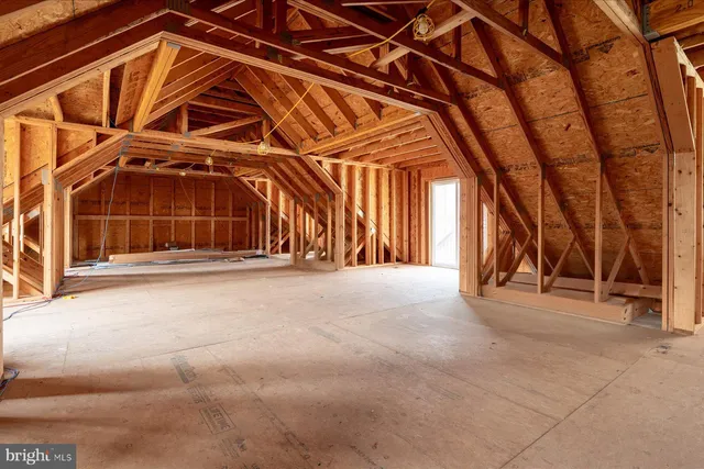 a garden view with a bench