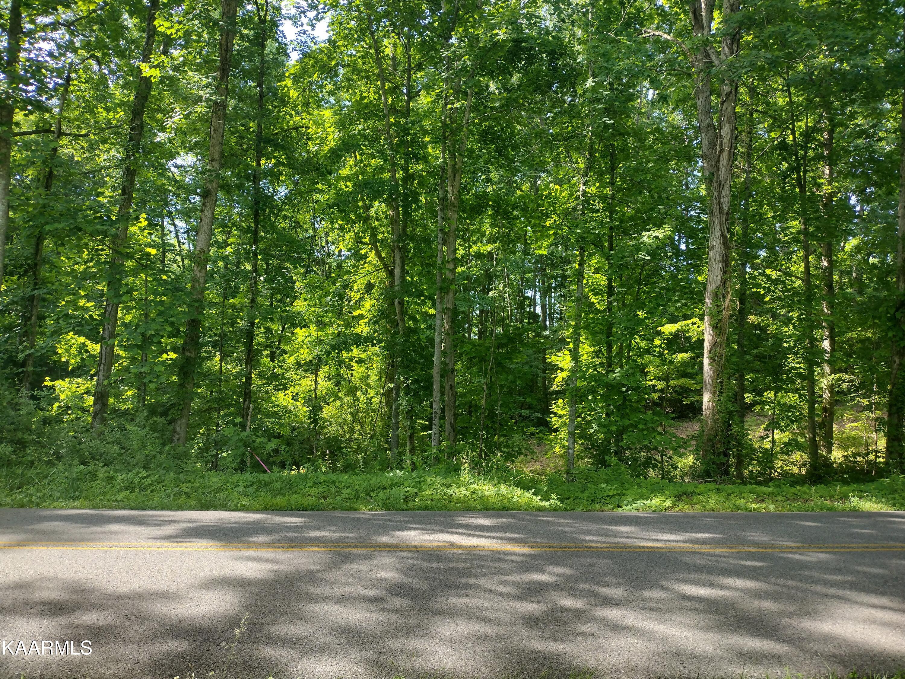4 Pilot Mountain Road Lancing, TN 37770 - Photo 1 of 23 IMG_20220604_095914862_HDR