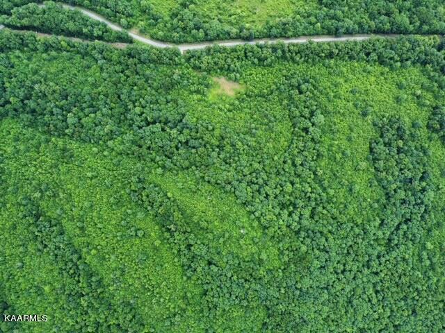 4 Pilot Mountain Road Lancing, TN 37770 - Photo 17 of 23 image0