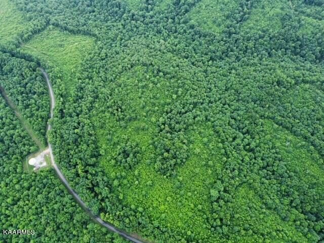 4 Pilot Mountain Road Lancing, TN 37770 - Photo 20 of 23 image3
