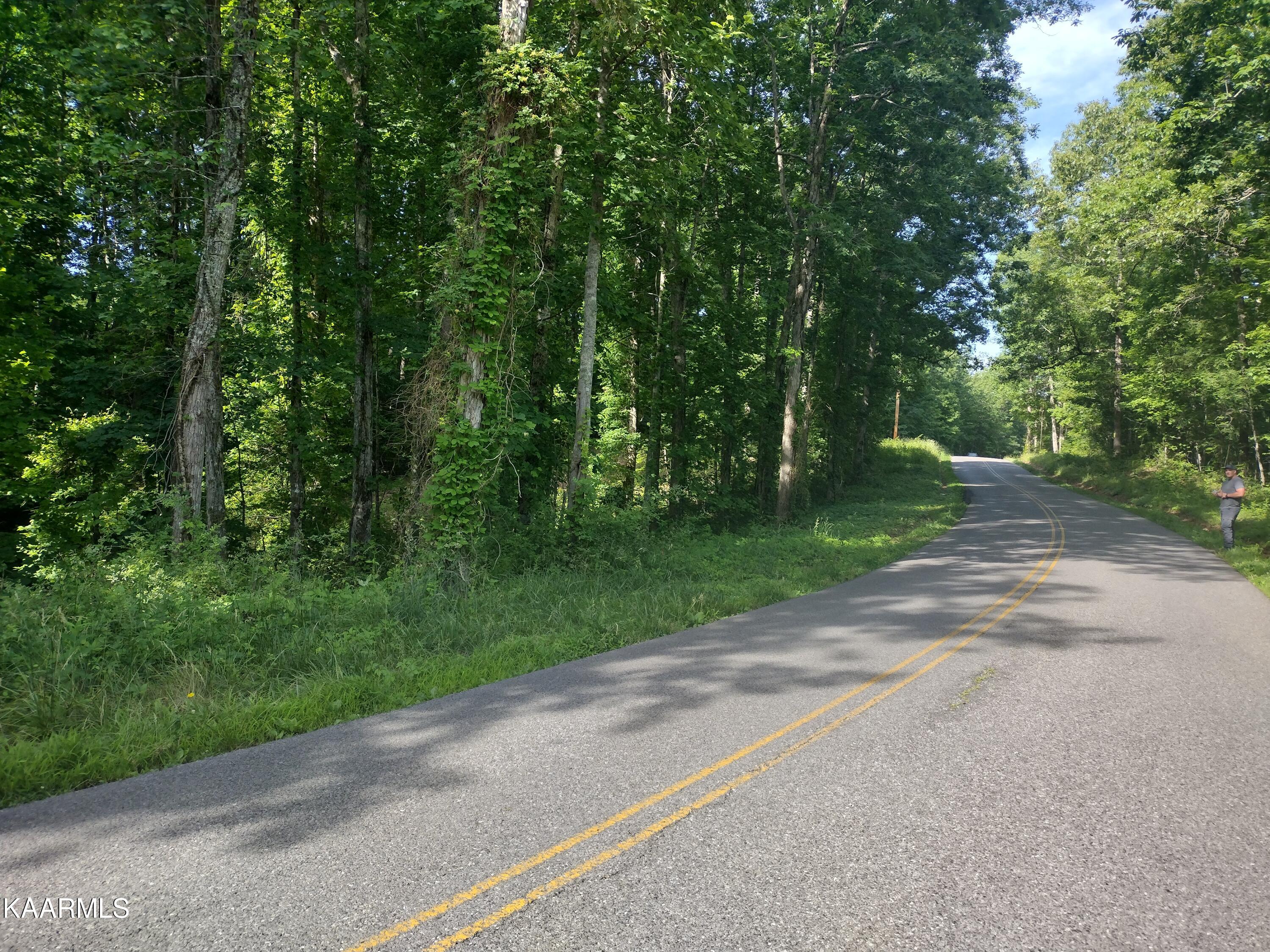 4 Pilot Mountain Road Lancing, TN 37770 - Photo 2 of 23 IMG_20220604_095844829_HDR