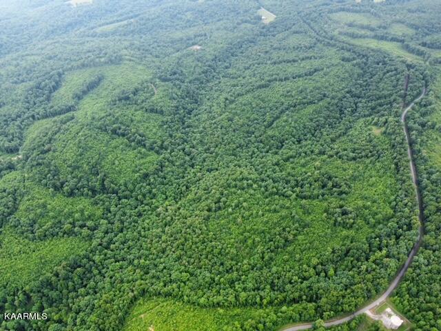 4 Pilot Mountain Road Lancing, TN 37770 - Photo 23 of 23 image9
