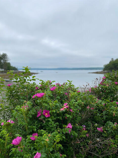 111 Old Bar Harbor Road Bar Harbor, ME 04609 - Photo 59 of 74 111 Old BH Rd View