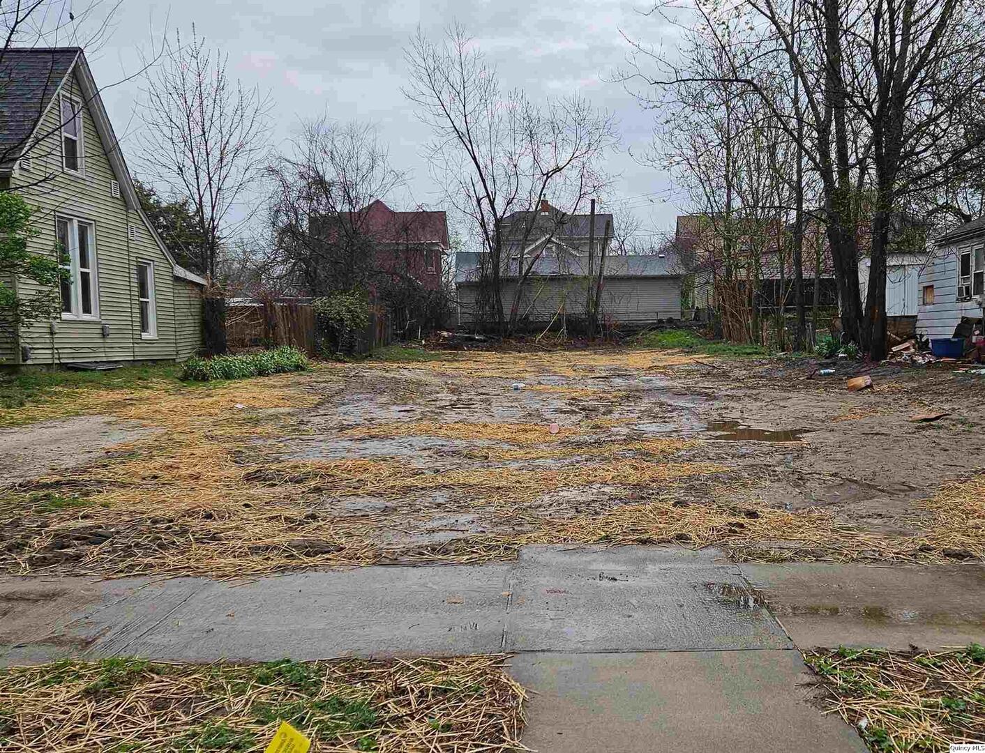 1230 North 7th Street Quincy, IL 62301 - Photo 1 of 1 a backyard of a house