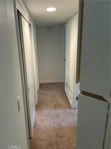 a bathroom with a shower and a toilet