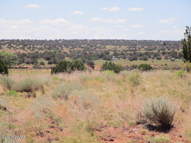 5191 Black Mesa Valley Road Snowflake, AZ 85937 - Photo 11 of 20 Gallery Image 11