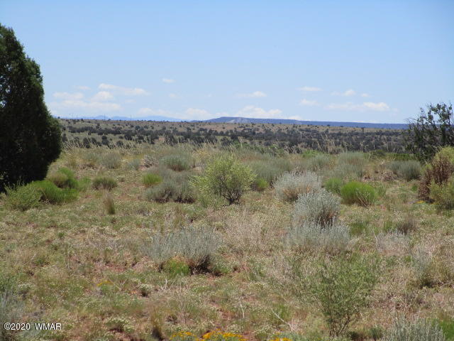 5191 Black Mesa Valley Road Snowflake, AZ 85937 - Photo 12 of 20 Gallery Image 12