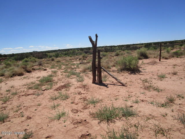 5191 Black Mesa Valley Road Snowflake, AZ 85937 - Photo 13 of 20 Gallery Image 13