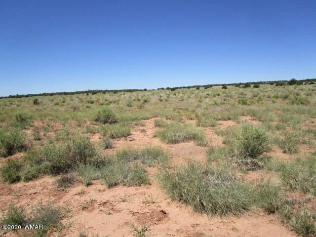 5191 Black Mesa Valley Road Snowflake, AZ 85937 - Photo 19 of 20 Gallery Image 19