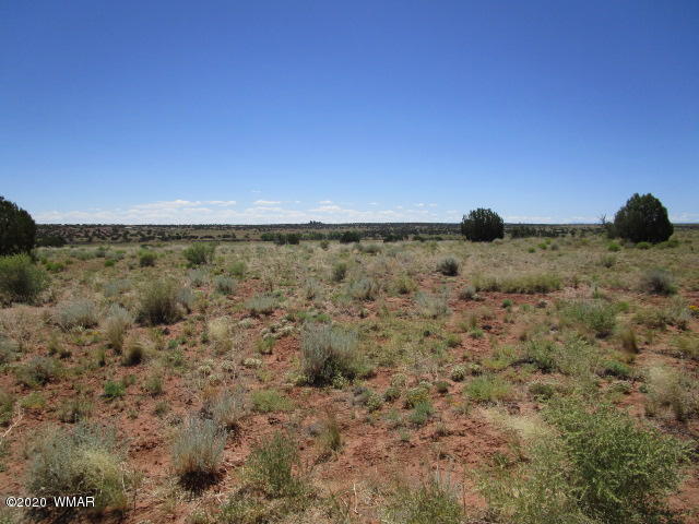 5191 Black Mesa Valley Road Snowflake, AZ 85937 - Photo 8 of 20 Gallery Image 8