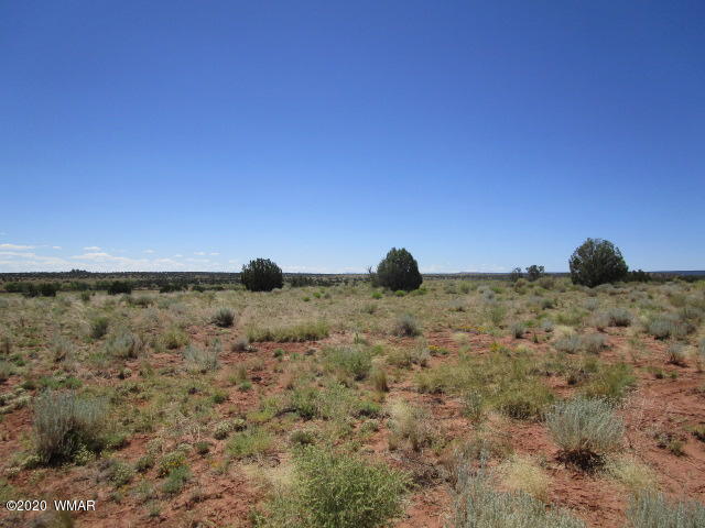 5191 Black Mesa Valley Road Snowflake, AZ 85937 - Photo 9 of 20 Gallery Image 9