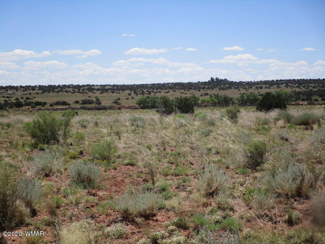 5191 Black Mesa Valley Road Snowflake, AZ 85937 - Photo 10 of 20 Gallery Image 10