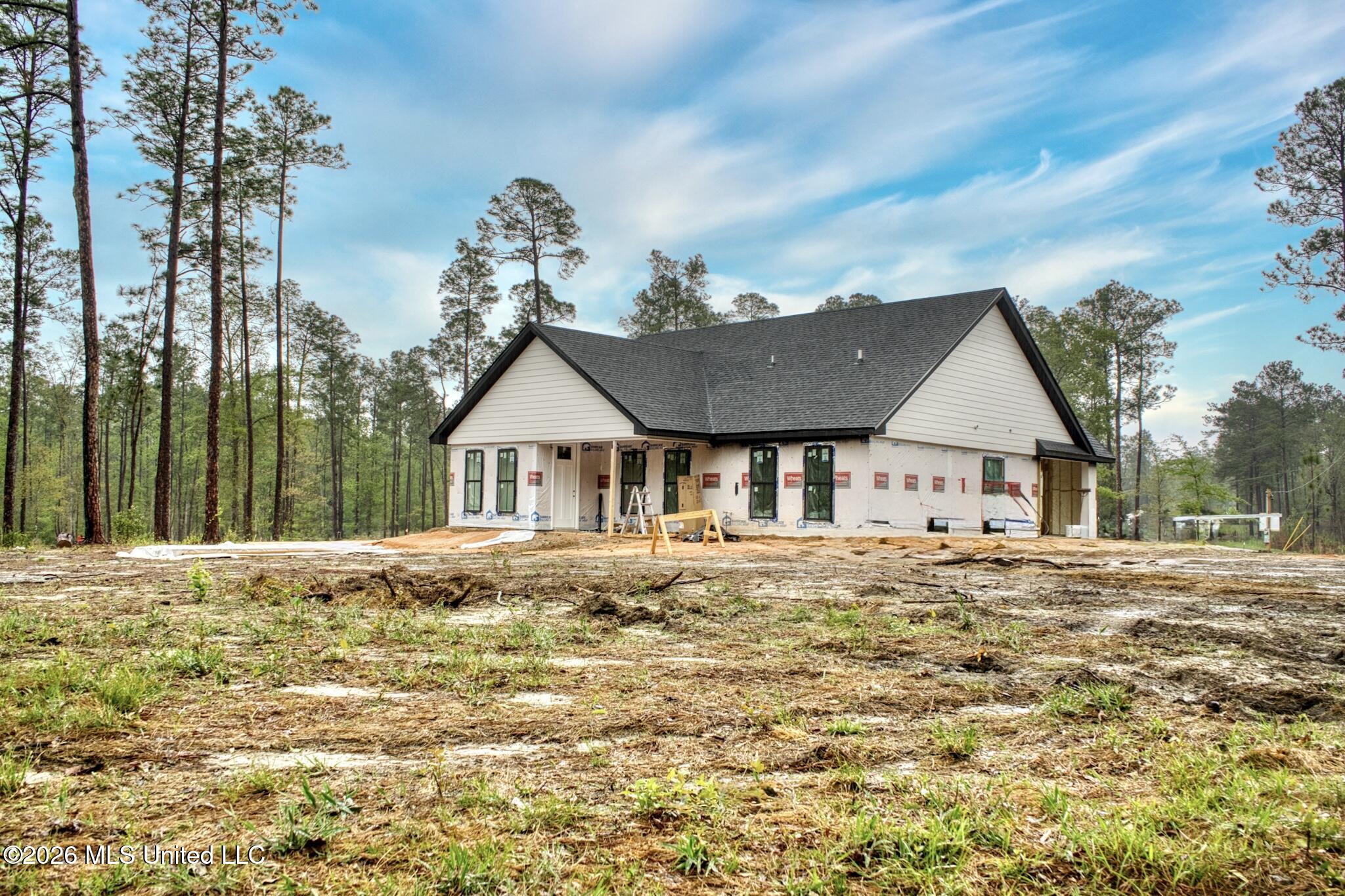 499 Cowart Holiday Road Poplarville, MS 39470 - Photo 4 of 4 DSC00300_HDR