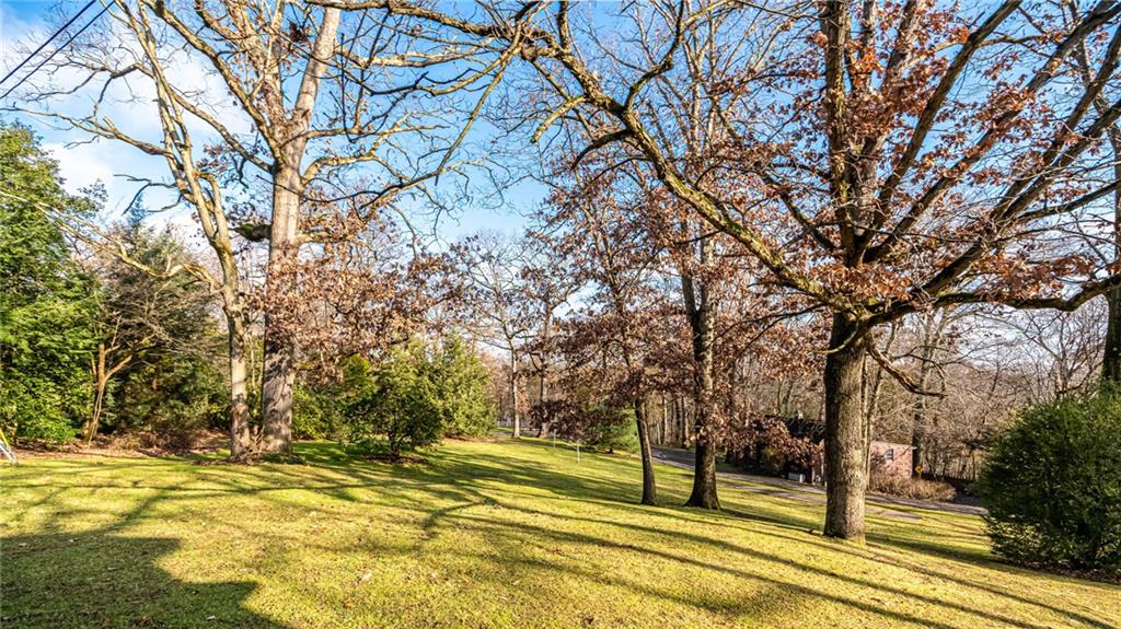 435 Belmont Road Butler, PA 16001 - Photo 22 of 25 VIEW OF REAR YARD