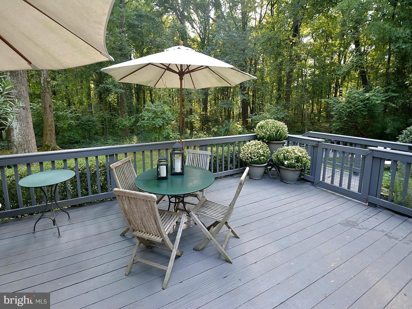 7506 Range Road Alexandria, VA 22306 - Photo 22 of 26 Sun Deck