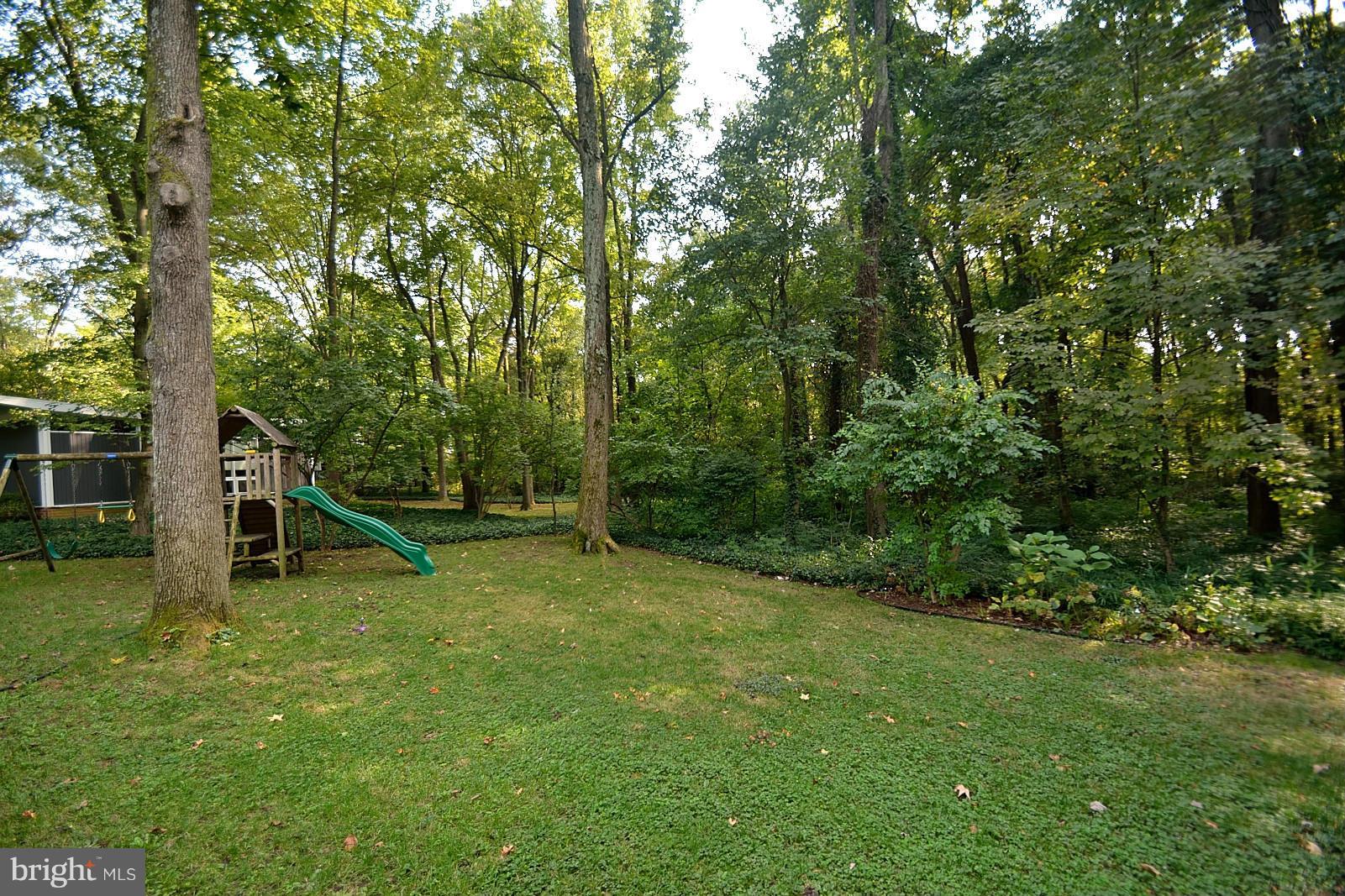 7506 Range Road Alexandria, VA 22306 - Photo 24 of 26 Back Yard