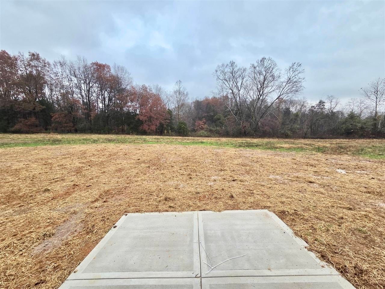 2462 Mt Sharon Road Sharon Grove, KY 42280 - Photo 15 of 15 Gallery Image 15