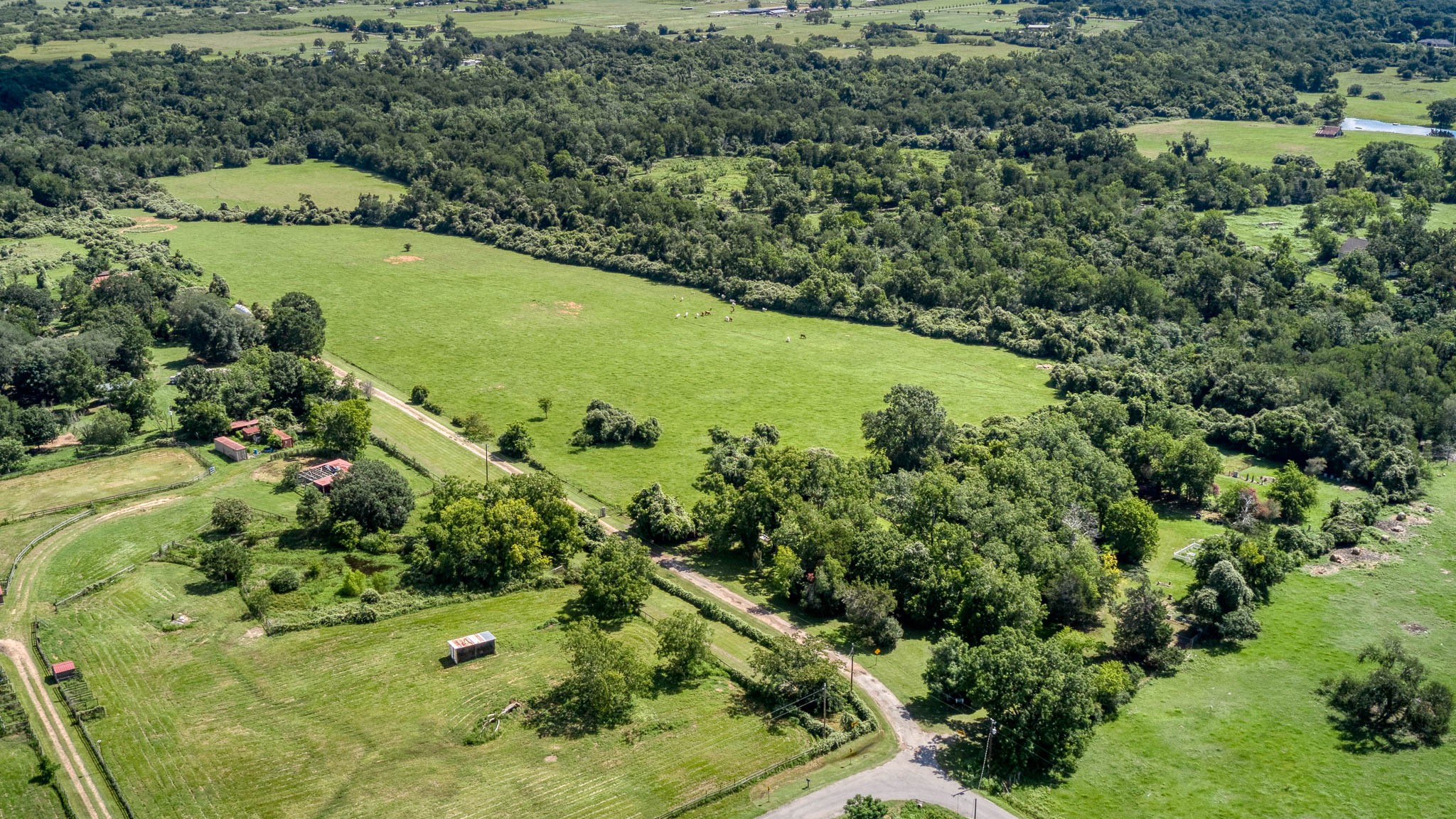 Tbd Holik Road Hempstead, TX 77445 - Photo 20 of 50