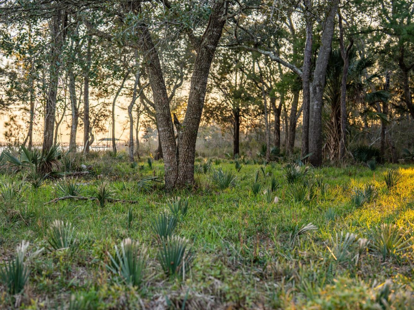 0 Kennedy Road Bon Secour, AL 36511 - Photo 3 of 25