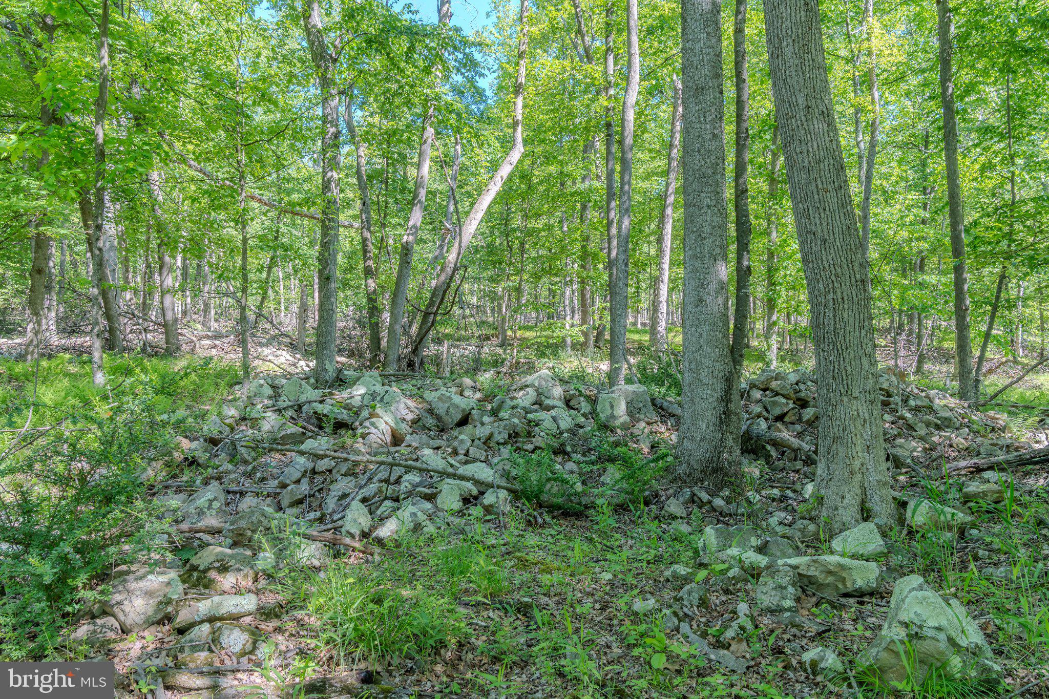 4503 Scotch Valley Road Hollidaysburg, PA 16648 - Photo 41 of 85