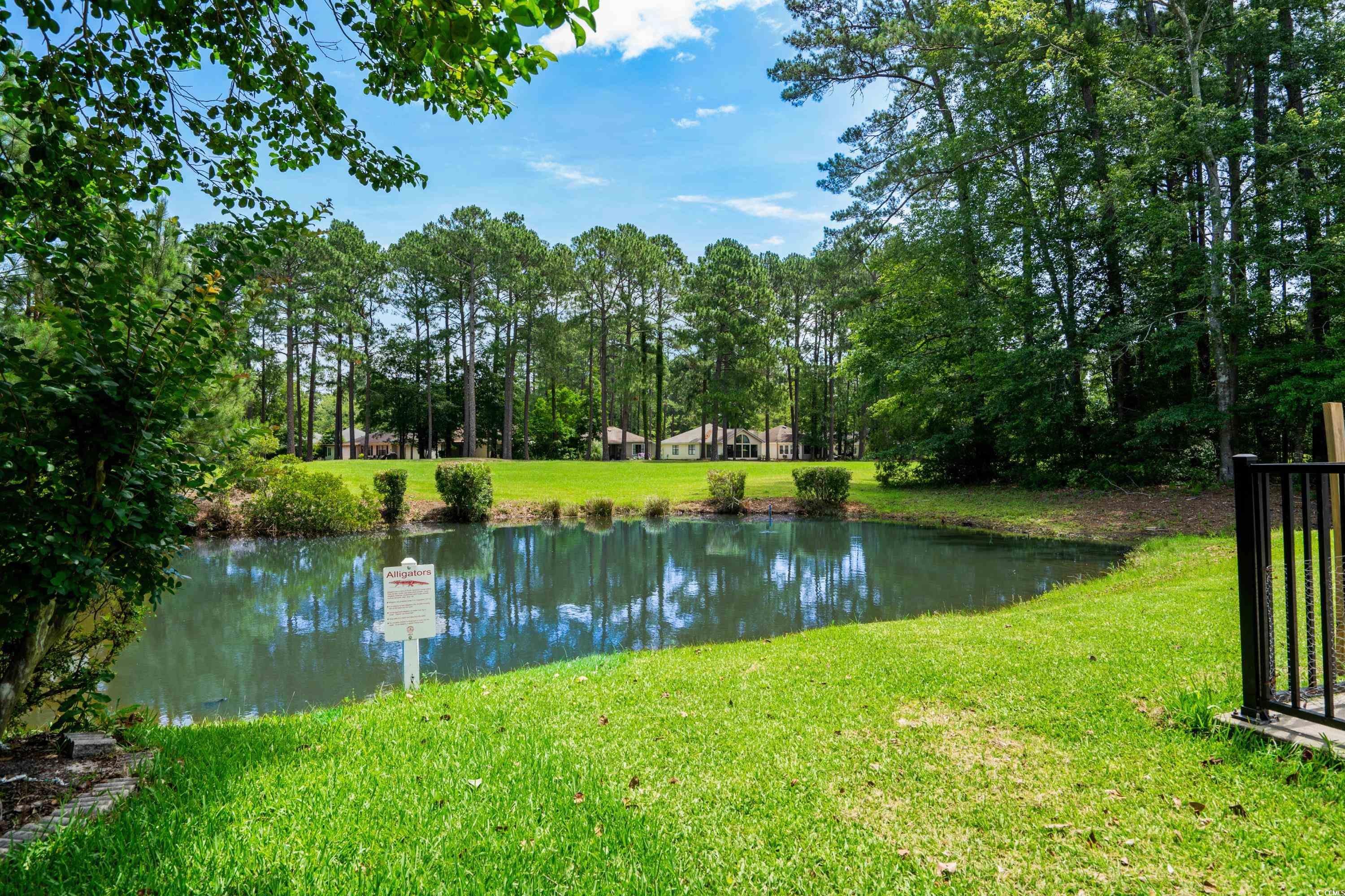 6576 Pebble Beach Crescent Myrtle Beach, SC 29588 - Photo 32 of 40