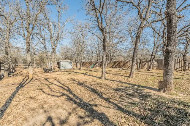 a view of empty space and trees