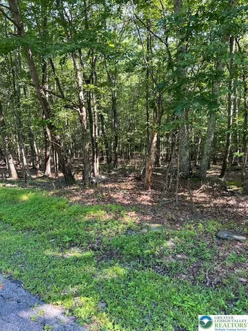 a view of outdoor space with deck and yard