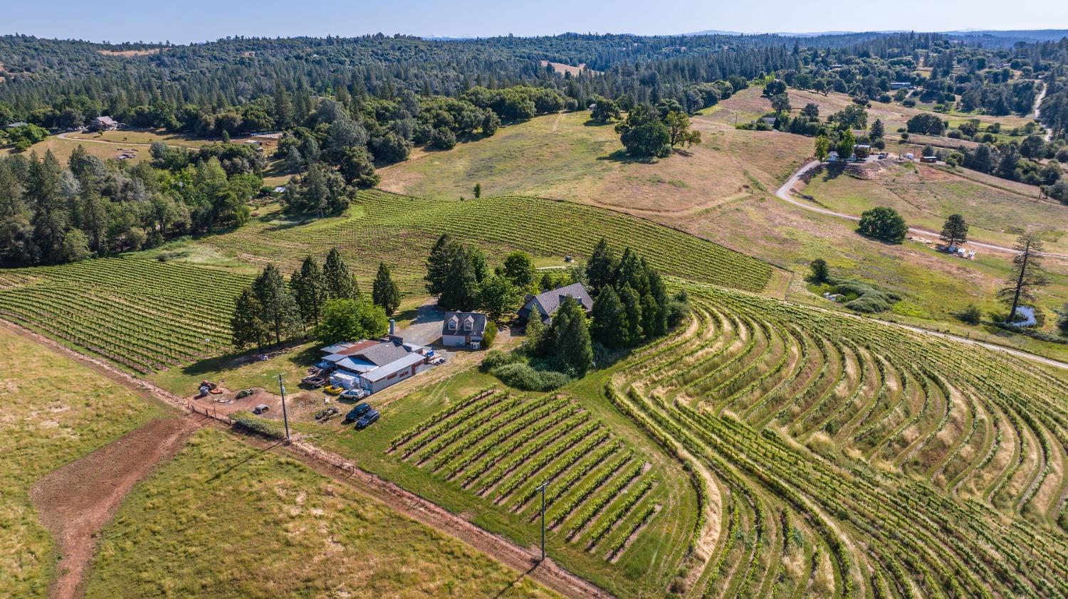 16915 Red Mule Road Fiddletown, CA 95629 - Photo 53 of 66