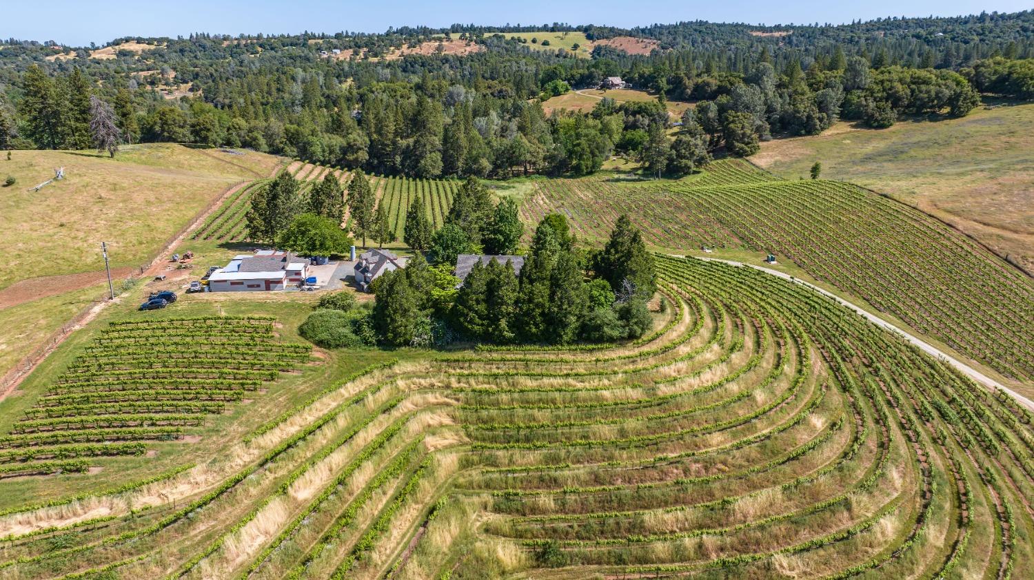 16915 Red Mule Road Fiddletown, CA 95629 - Photo 54 of 66