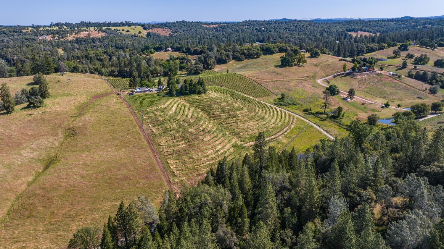 16915 Red Mule Road Fiddletown, CA 95629 - Photo 55 of 66