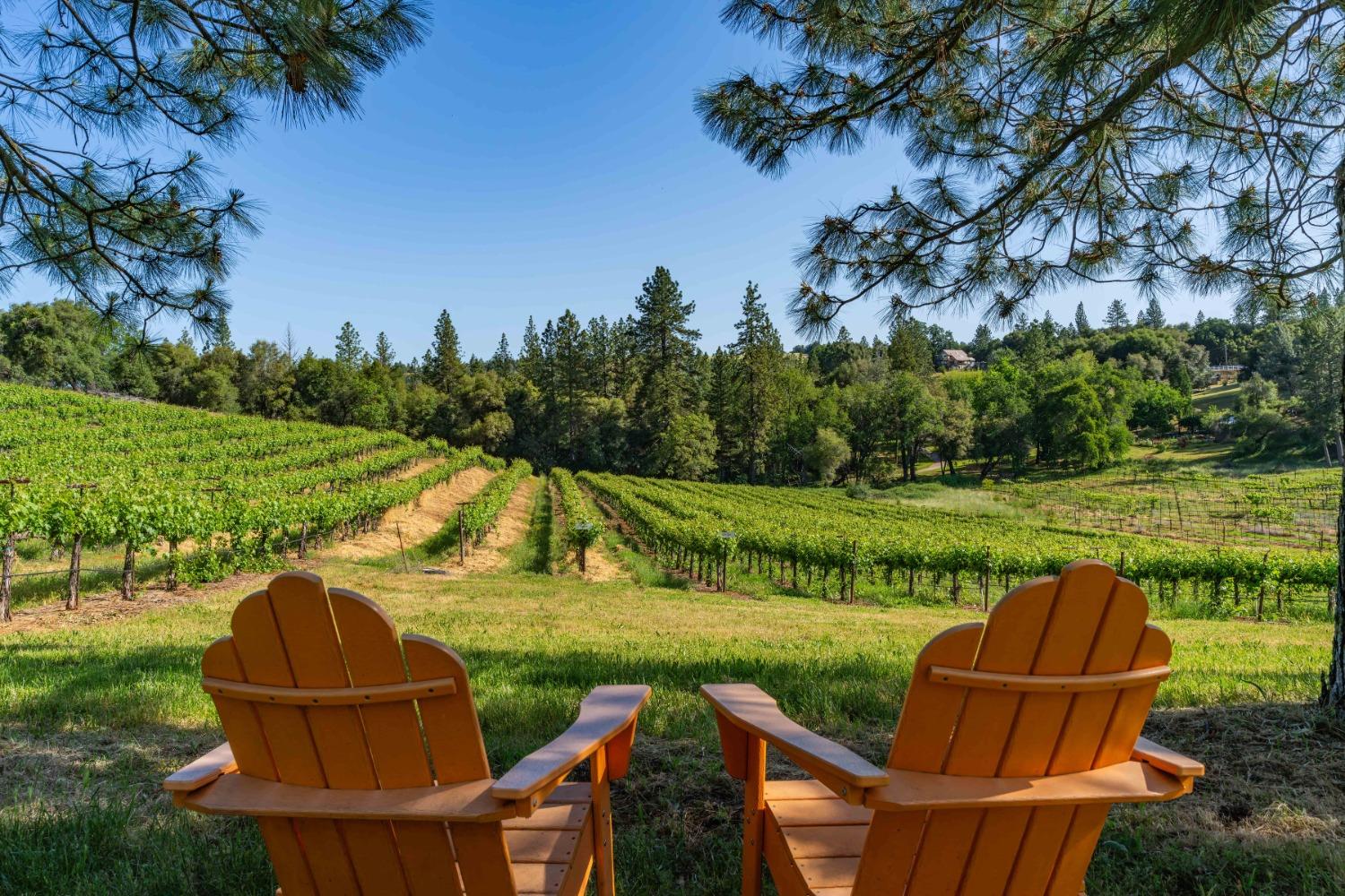 16915 Red Mule Road Fiddletown, CA 95629 - Photo 64 of 66