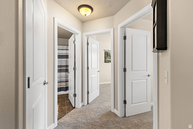 2484 Manzoni Road Santa Clara, UT 84765 - Photo 23 of 27 Hallway with a textured ceiling and light colored carpet