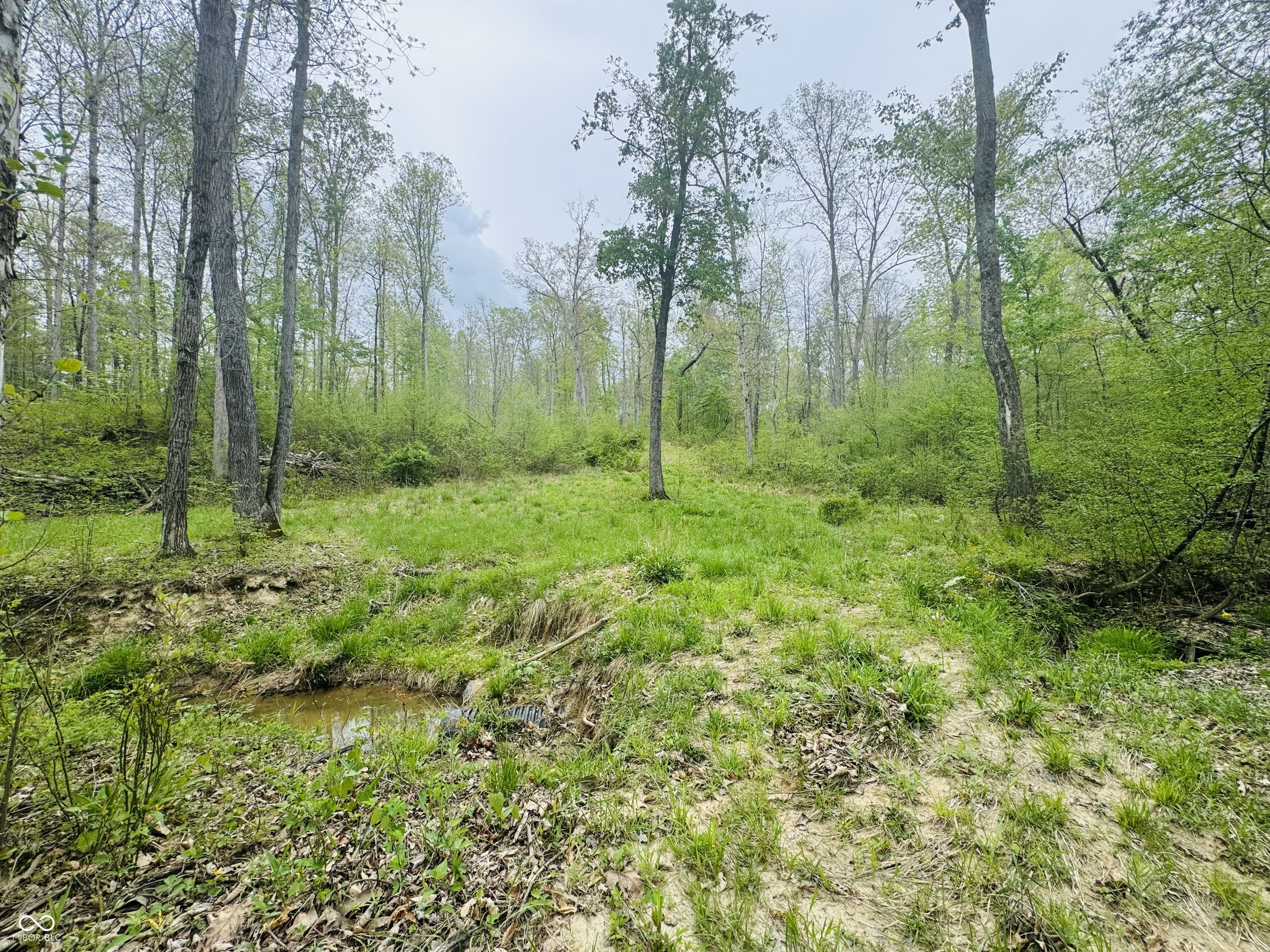 Lot 3-eagle View Mt Healthy Road Columbus, IN 47201 - Photo 1 of 15