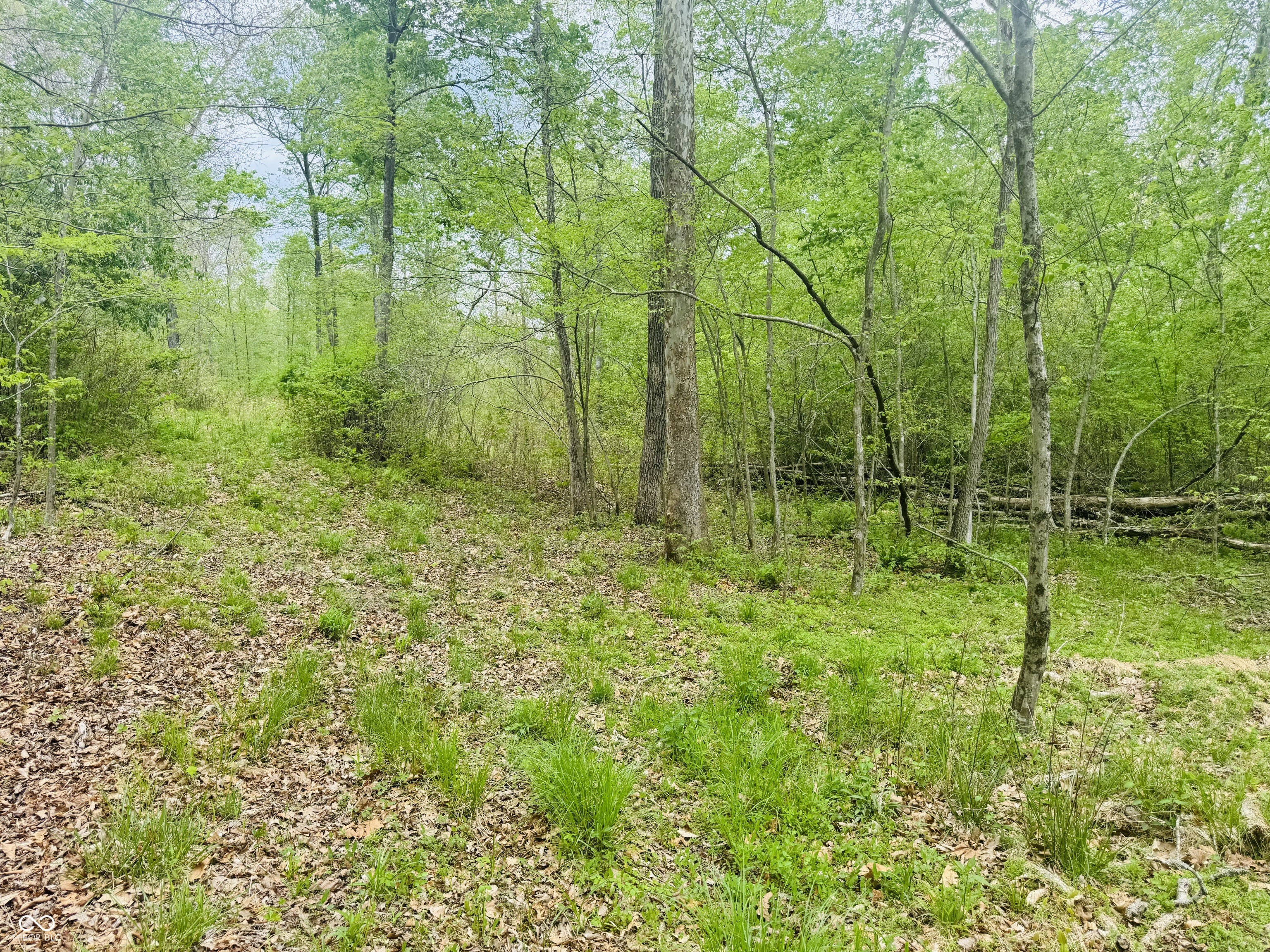 Lot 3-eagle View Mt Healthy Road Columbus, IN 47201 - Photo 11 of 15