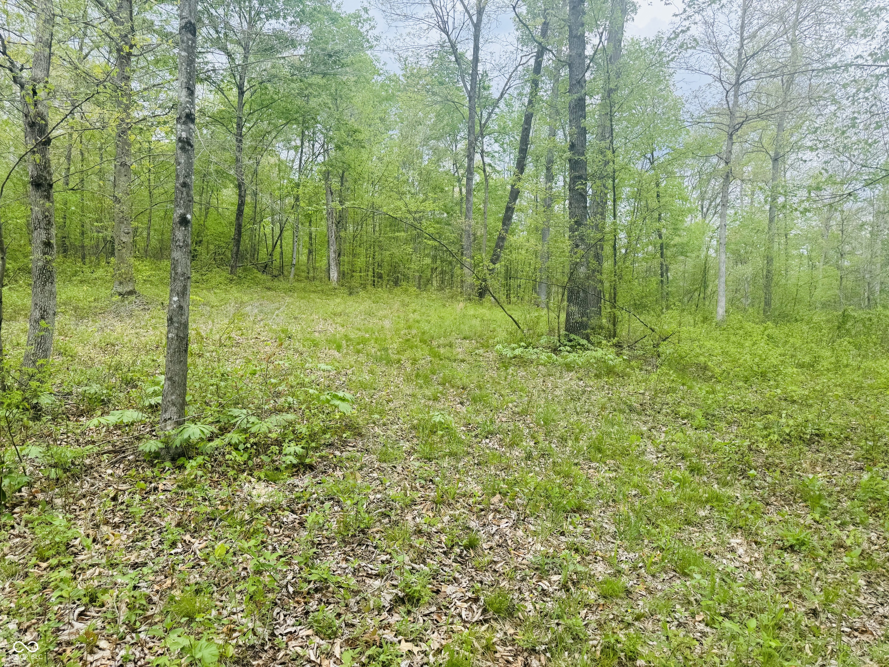 Lot 3-eagle View Mt Healthy Road Columbus, IN 47201 - Photo 12 of 15
