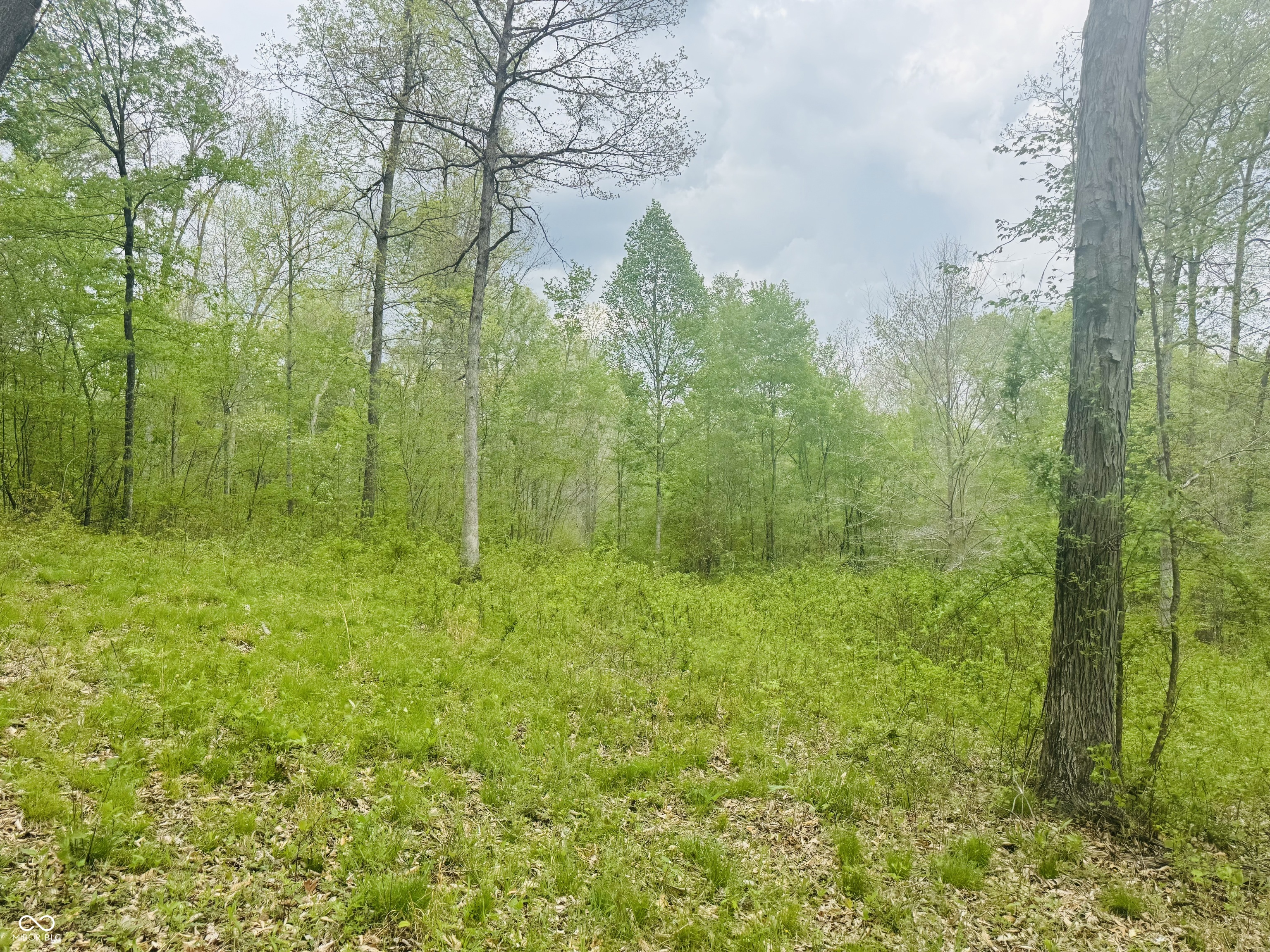Lot 3-eagle View Mt Healthy Road Columbus, IN 47201 - Photo 13 of 15
