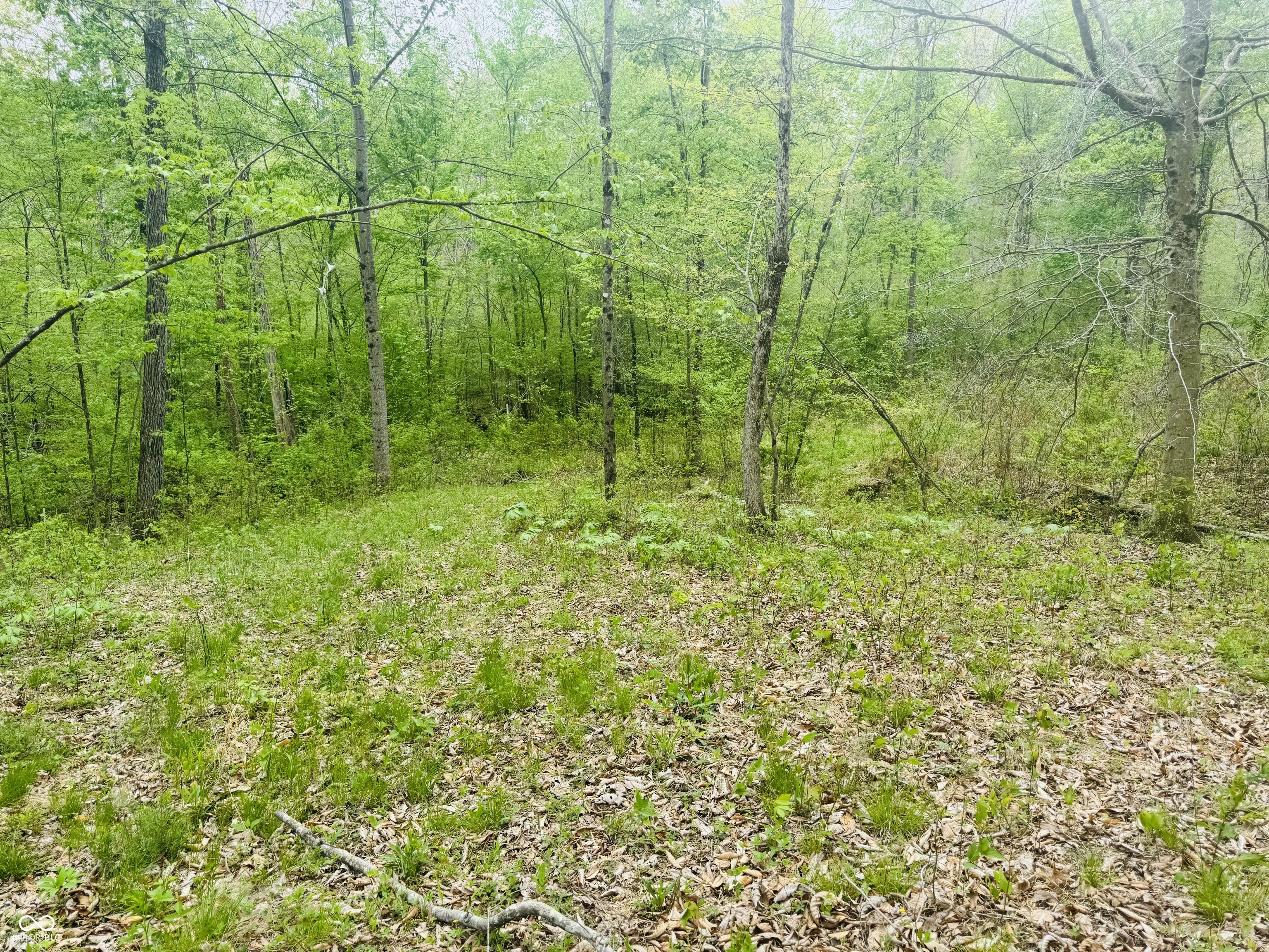 Lot 3-eagle View Mt Healthy Road Columbus, IN 47201 - Photo 14 of 15