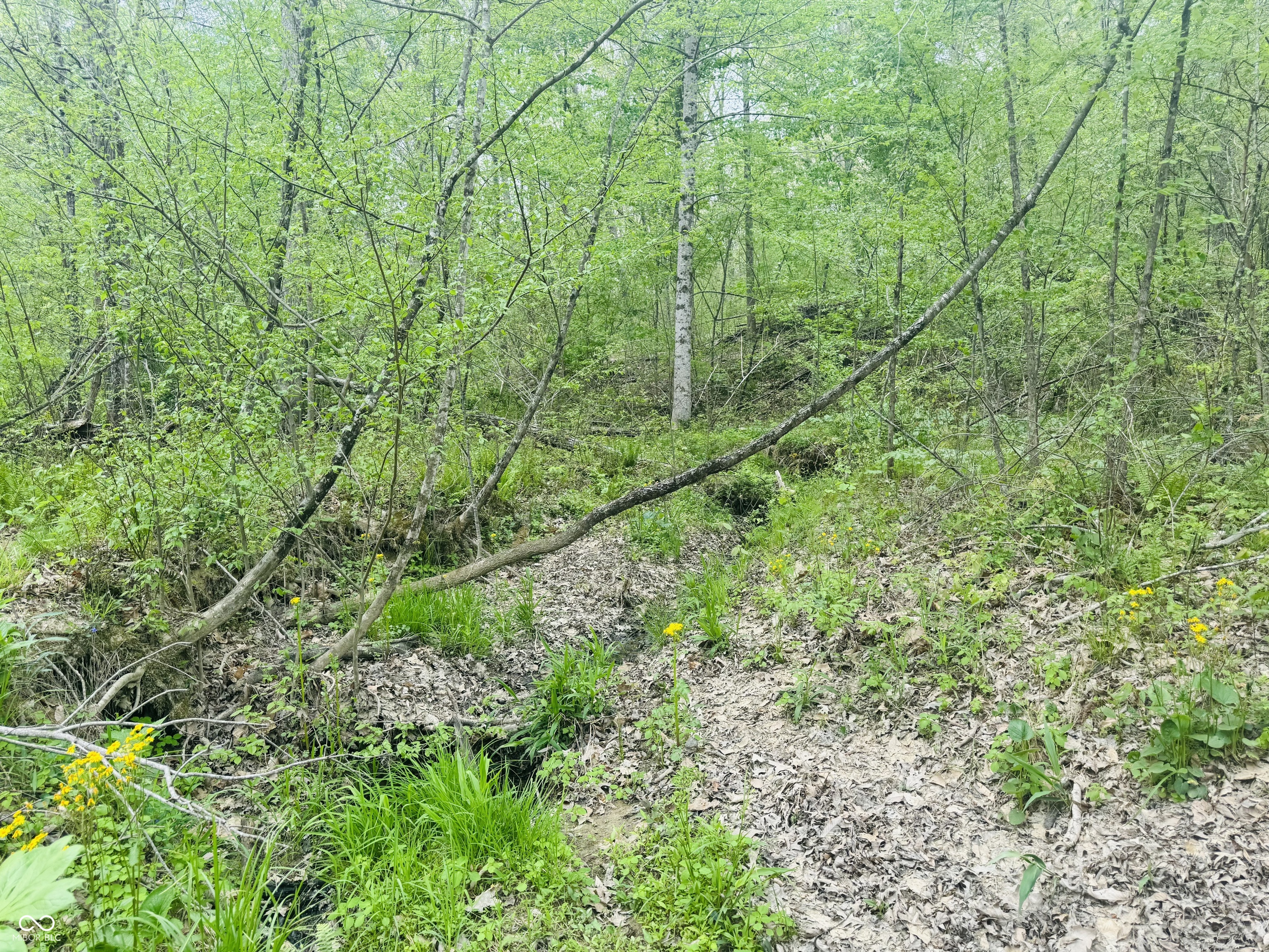 Lot 3-eagle View Mt Healthy Road Columbus, IN 47201 - Photo 3 of 15