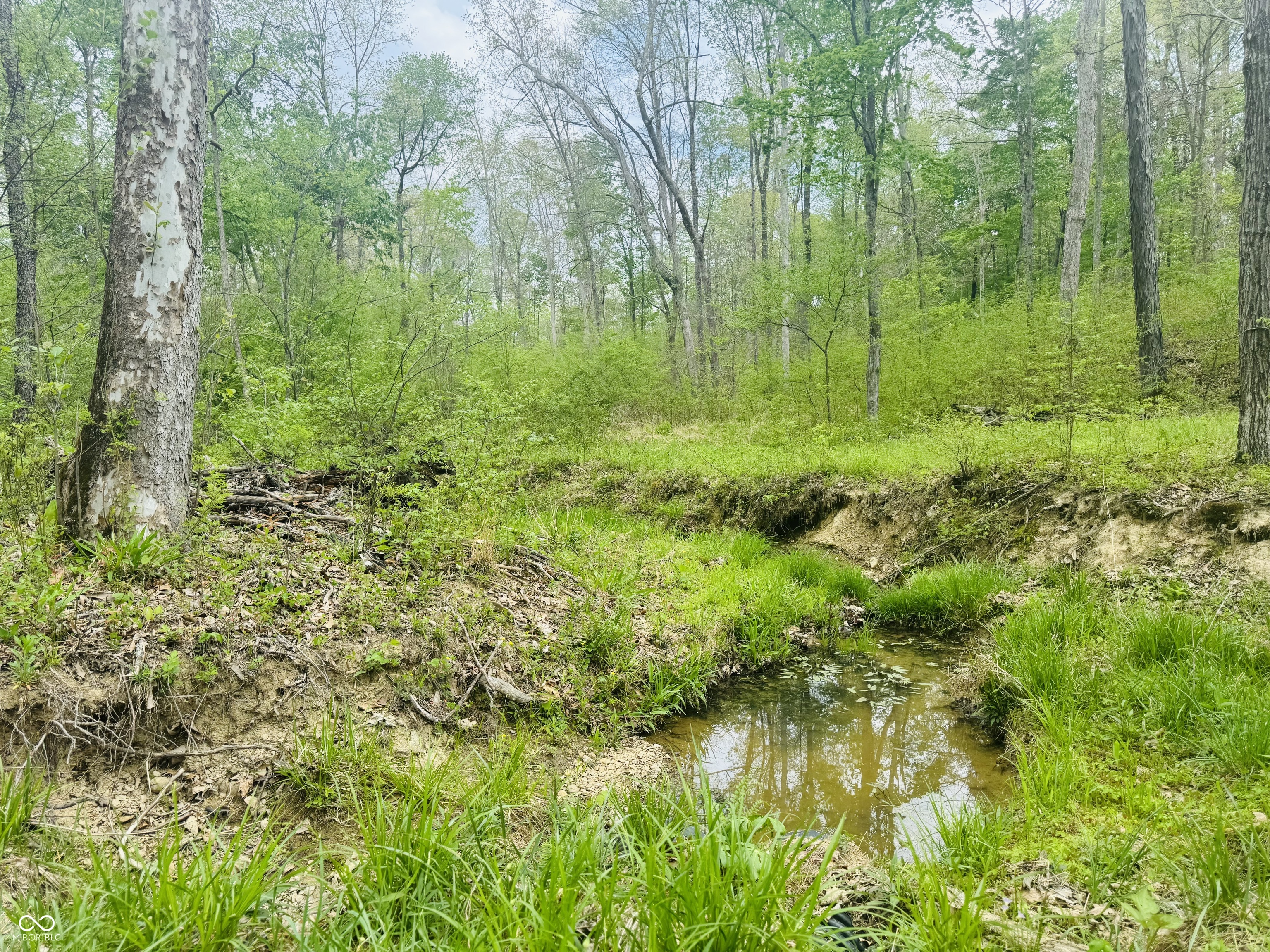 Lot 3-eagle View Mt Healthy Road Columbus, IN 47201 - Photo 4 of 15