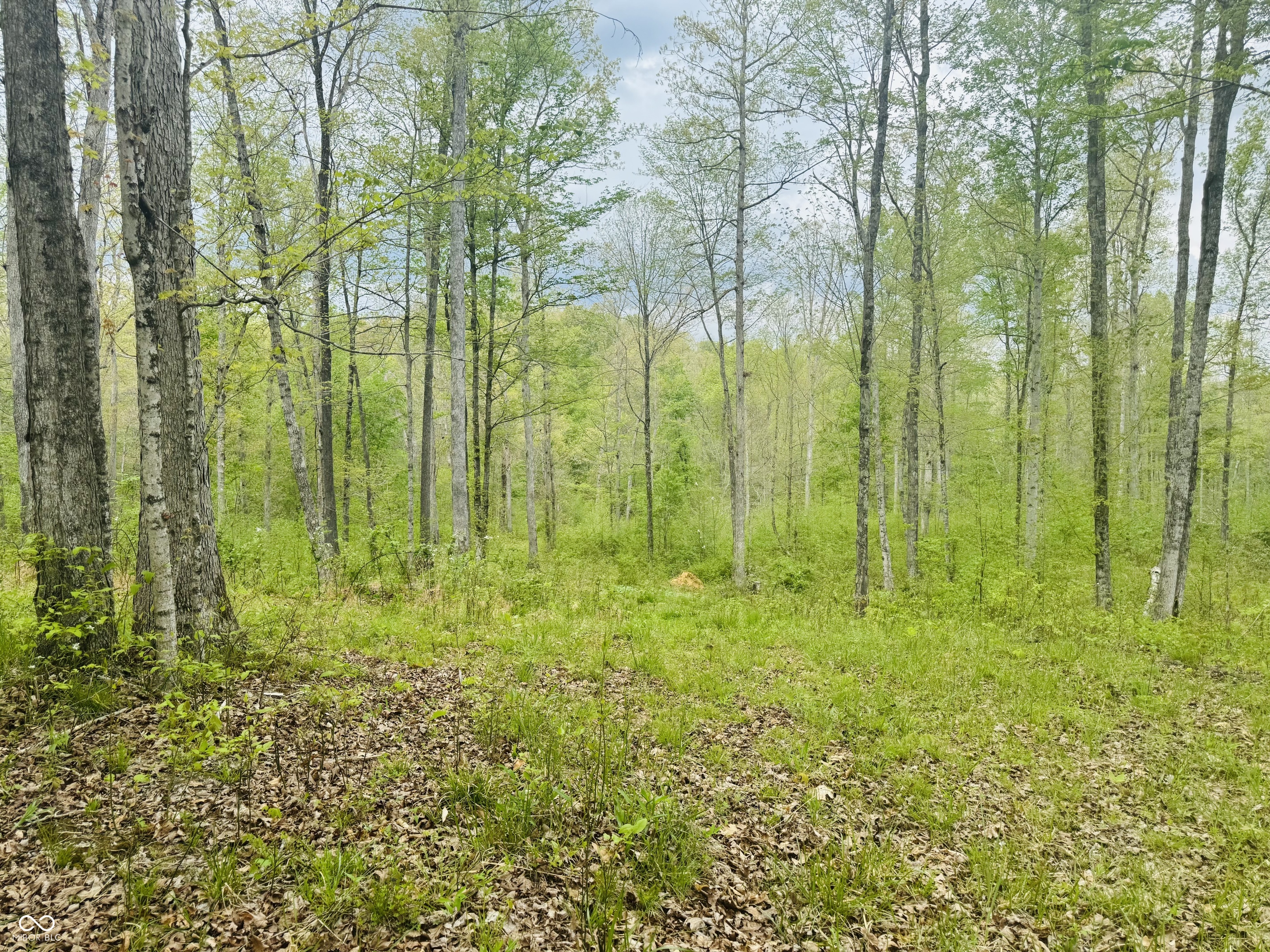 Lot 3-eagle View Mt Healthy Road Columbus, IN 47201 - Photo 5 of 15
